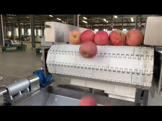 Stainless Steel Food Grade Fruit Processing Line With Automatic Bag Packing