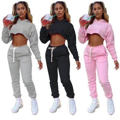 China Anti-Wrinkle Solid Color Women Hoodies Sweat Suit Multiple Color Crop Top Hoodie Sweatsuit Pencil Pants Sweatpants 2 Piece Set for sale