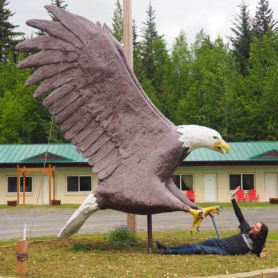 China China Flying Large Owl Fiberglass Sculpture Outdoor Decoration Fiberglass Animal Sculpture Decoration for sale