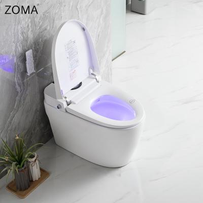 China Bathroom Toilet Sensor Intelligent Automatic Voice Cover Smart Shake Cover Automatic Sanitaryware Voice Foam Shield for sale