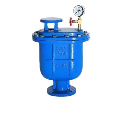 China The cast iron water guard float flange and composite exhaust valve of CARX are sold in the factory for sale