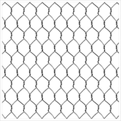 China Construction Wire Mesh Low Price Hot Dipped Galvanized 1 Inch Hexagonal Wire Mesh For Animal Cage for sale