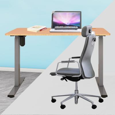 China (Size) Hot Selling Adjustable Metal Standing Desk Commercial Freestanding Smart Height Adjustable Desk For Wholesale for sale