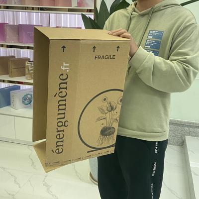 China Handmade Custom Printed Potted Grown Cardboard Live Plant Packaging Shipping Cardboard Box For Plant for sale