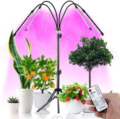 China Seed Starting Flower Indoor Vegetable Seedling Full Spectrum Grow Lights With Tripod 80 LED Plant Light for sale