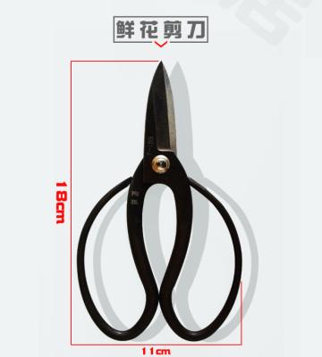 China High Quality Professional Garden Shears Cutting Shears Shears Vines for sale