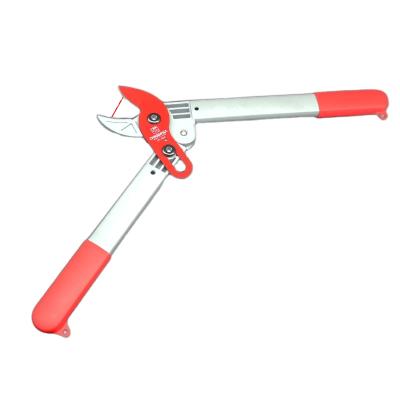 China Anti-Slip Handle Garden Shears Stylish Secateurs Citrus Orchard Shears Beautiful for sale