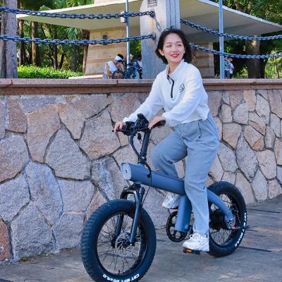 China Hot Sale Q3 Electric Bike Aluminum Alloy 20 Inch Fat Tire Off Road Powerful Mountain Ebike 2000W 48V Electric Bicycle For Adults Cycling E BIKE for sale