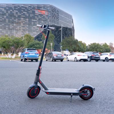 China EU Warehouse Spot Fold Portable E-scooter New Arrival Smart Electric Scooter For Adults 350W Electric Scooter Suppliers for sale