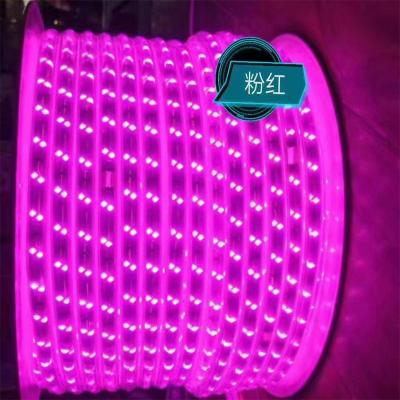 China Modern Waterproof 5M 10m Stripe 12V Tira De Luces LED Ledstrip LED Strip Lights for sale