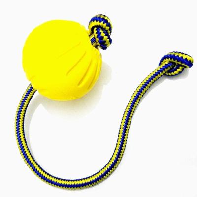 China Wholesale Viable Durable EVA Pet Training Toy Pet Chew Toy Ball With Rope Dog Toy for sale