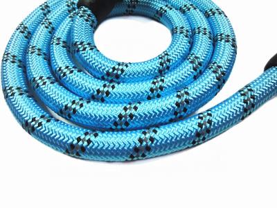 China Hot Selling Sustainable Reflective Nylon Sponge Woven Rope Pet Traction Climbing Rope for sale