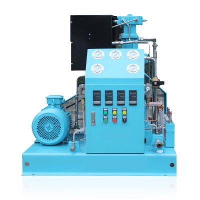 China Lubricated Oxygen Booster Compressor /5 Nm3/h 10 Nm3/h 15 Nm3/h 20 Nm3/h 30 Nm3/h Oil Free Screw Compressor for sale