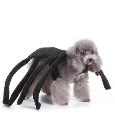 China Viable Dog Clothes Halloween Festival Black Spider Pet Transformation Dress Dog Clothes Spider Dress for sale