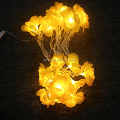 China Outdoor Waterproof RGB String Light Party Lights Factory Decoration LED Fiber Optic Decorative Lantern for sale