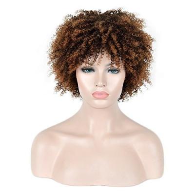 China Factory Wholesale Custom Cheap Curly Curly African Women Fashion Ombre Short Synthetic Afro Curly Short Heat Resistant Synthetic Hair Wig for sale