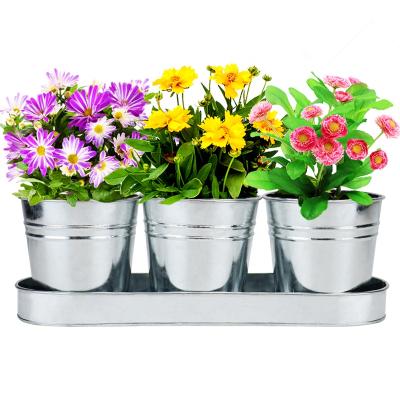 China Modern Plant Pots Set, Succulent Pots With Tray And Drain Holes - Galvanized Metal Planter Succulent Pots For Indoor Outdoor for sale