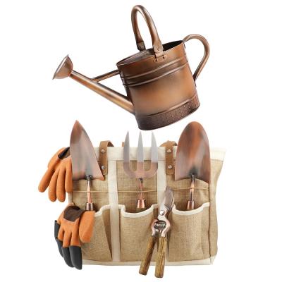 China Durable Gardening Tools and Equipment Set with 4 Pcs Tools Metal Watering Can and 1 Gallon Galvanized Tools Bag for sale