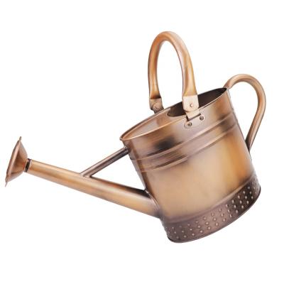 China Aquatic Plants 1 Gallon Garden Water Cans Galvanized Metal Watering Can with Vintage Copper Embossed Design for Indoor and Outdoor Gardening for sale