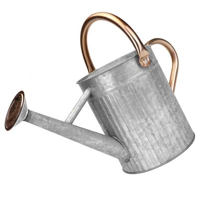 China Home Garden and Plant Sprinkling 1 Gallon Garden Water Cans Galvanized Metal Watering Can With Antirust Powder Coating Removable Sprayer For Indoor And Outdoor for sale