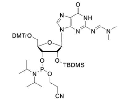 Chine Oligo synthèse en laboratoire de la phosphoramidite et des matières premières du CPG à vendre