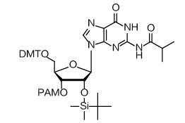 Chine Synthèse des oligonucléotides de phosphoramidite d'ARN d'ADN Matériaux premiers pour la synthèse des gènes à vendre