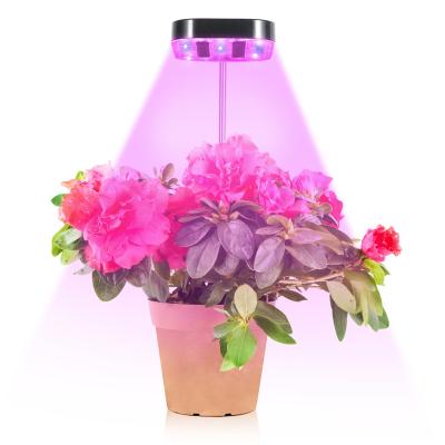 China Seed Starting Full Spectrum Plant Lamp Plug Light Indoor Plants Growth Lamp Private Potted Lamp Single Head Succulent Plant for sale