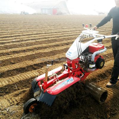 China 3TG-6YP 6.5hp-13hp Dig and Ridge Soil Plowing Digging Grounding Up Agriculture Cultivator for sale