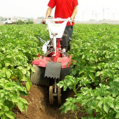 China Used to dry land LUC 3TG SERIES 6.5hp-13hp Mini Garden Tiller and cultivator for small farm for sale