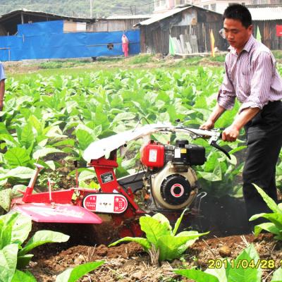 China Rotary Tillage LUC 3TG 6.5hp-13hp Small Farm Tiller Soil Cultivator For Sale for sale