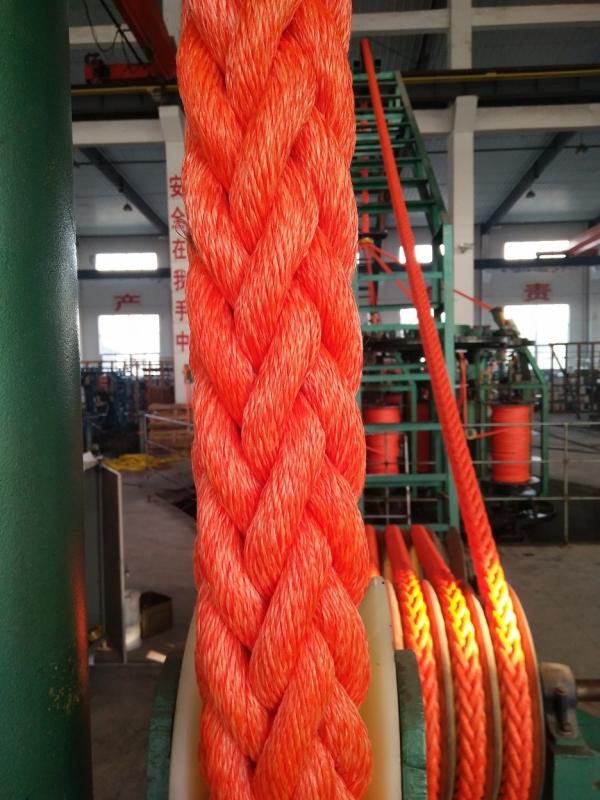 Fornitore cinese verificato - YANGZHOU GIANT ROPE CO., LTD