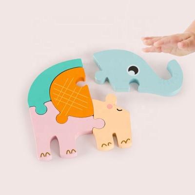 China Eco-friendly Water-base Varnishing 3D Wooden Puzzle Form Hand Grip Montessori Board Game Baby Toys Educational Learning Toys for sale