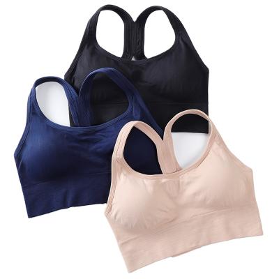 China Wholesale Support Cross Back Strap Antibacterial With Hook And Eye Fashion Yoga Sports Seamless Bra Comfortable Crop Boxing Top for sale