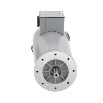 China IP54 24V DC 200W Totally Enclosed Vacuum Motor For Compressor for sale