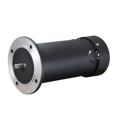 China High Torque 48V 72V Dc Motor 500w 750w 1000w Fully Enclosed Auto Rickshaw DC Motor for sale