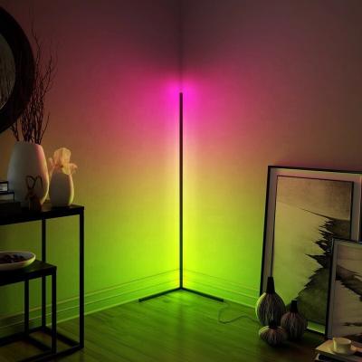 China AC100-240V AC100-240V Modern Minimalist Modern Music Adapter APP Remote Control IP65 Corner Floor Lamp 5050 For Living Room Bedroom for sale