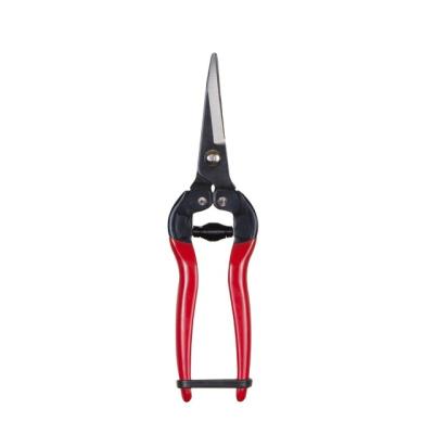 China Classic Quality Curved Carbon Steel Blades Garden Shears for sale