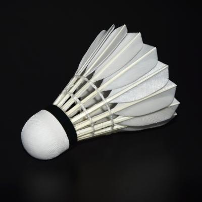 China Professional tournament same as Victor Master A CE top goose feather badminton shuttlecock stick NO.1 feather shuttle for sale