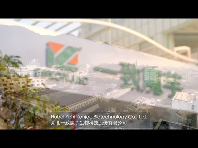 Hubei Yizhi Konjac Biotechnology Co., Ltd