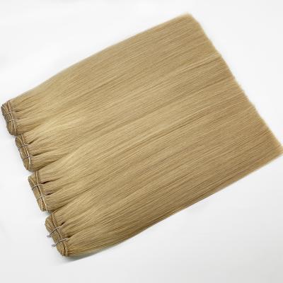 China Double Weft Hair Weft Russian Virgin Superb Straight Silky Straight Hair Weft Extension for sale