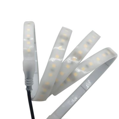 China Wholesale Milky Garden 2835 Silicone Extrusion Strip Light Housing 120LED/M 12V 24V IP67 LED Strip Light for sale