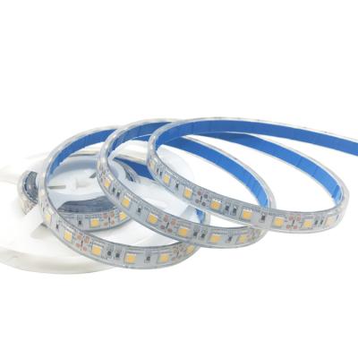 China LANDSCAPE 5M high quality 300 flexible LED strip light SMD5050 12VDC IP68 LED for swimming pool for sale