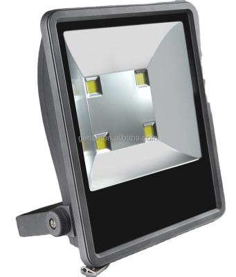 China Best Selling 100W LANDSCAPE Flood Light Housing for sale