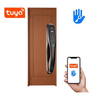 China Mobile Phone APP+ +Fingerprint+Password+RFID Swipe Card+Pakistan Key Security Door Lock Fingerprint Digital Wifi Smart Lock With Camera Monitor Send Photo To Mobile for sale