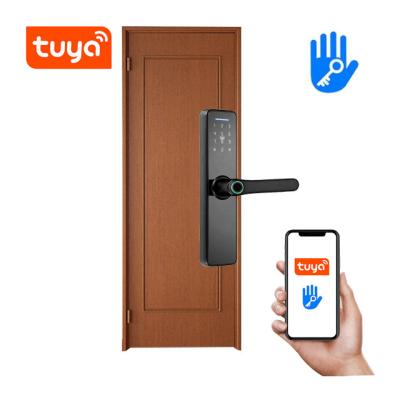 China Mobile Phone APP+ +Fingerprint+Password+RFID Swipe Card+Pakistan High Security Anti Theft Fingerprint Lock Guangdong Hyh Smart Hardware Door Key Portable Smart Lock for sale