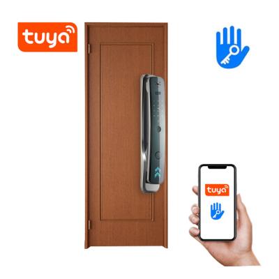 China Mobile Phone APP+ +Fingerprint+Password+RFID Swipe Card+Smart Key Pakistan candado Lock Camera Electron Rent Apartment Lock Biometric Security Door Lock for sale