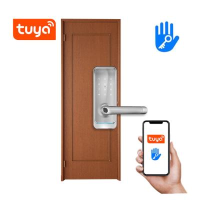 China Mobile Phone APP+ +Fingerprint+Password+RFID Swipe Card+Philippines Alexa App Fingerprint Keyless Home WIFI Digital Remote Control Tuya TTLock Smart Door Lock for sale