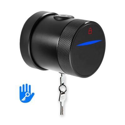 China Mobile Phone APP+ +Fingerprint+Password+RFID Swipe Card+Tuya Key 2021 Hot Selling Smart Radio Keyless Cylinder Fingerprint Smart Door Lock For Smart Home Room Doors for sale