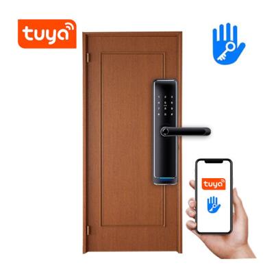 China Mobile Phone APP+ +Fingerprint+Password+RFID Swipe Card+Newest Home Security Security WIFI BLE APP QR Fingerprint Door Fingerprint Card Electric Smart Door Lock digital key lock for sale