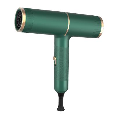 China Other New Fashion Style Plastic Professional Turbo Diffuser Gun Shape Green Hair Blow Dryer for sale